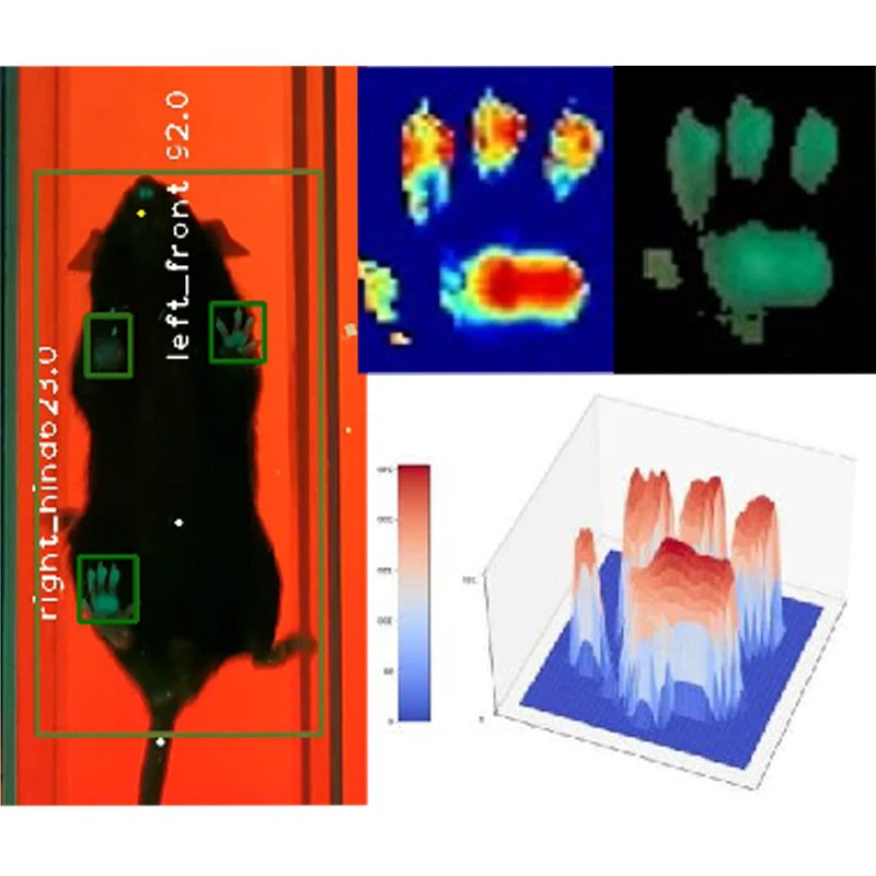 High-resolution Single (Multi)-channel Gait Analysis System3