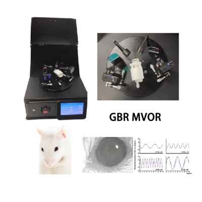 Jak obecność nagród w postaci pożywienia wpływa na zachowanie zwierzęcia w labiryncie Elevated Plus?